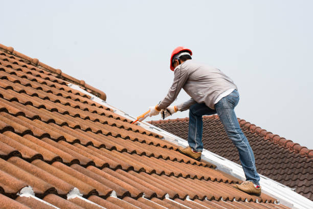 Best Solar Panel Roofing Installation  in Grafton, WV