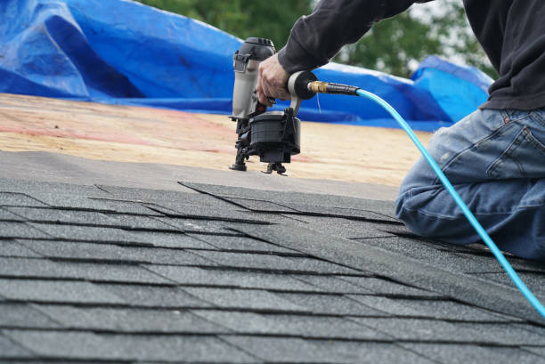 Best Storm Damage Roof Repair  in Grafton, WV